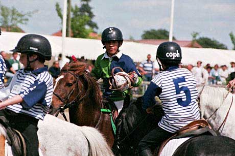 703653-24