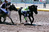 703652-19