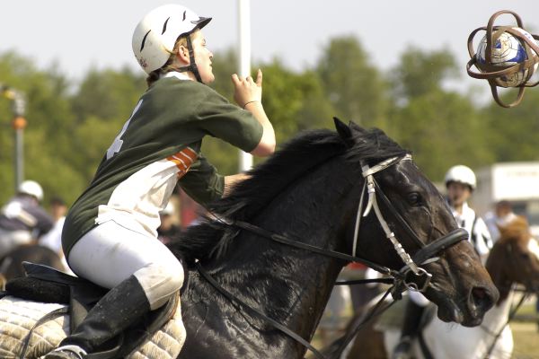 HB050529-1611