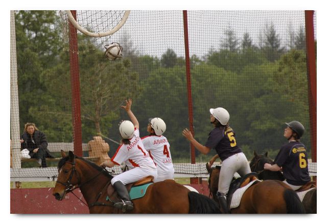 HB050516-249