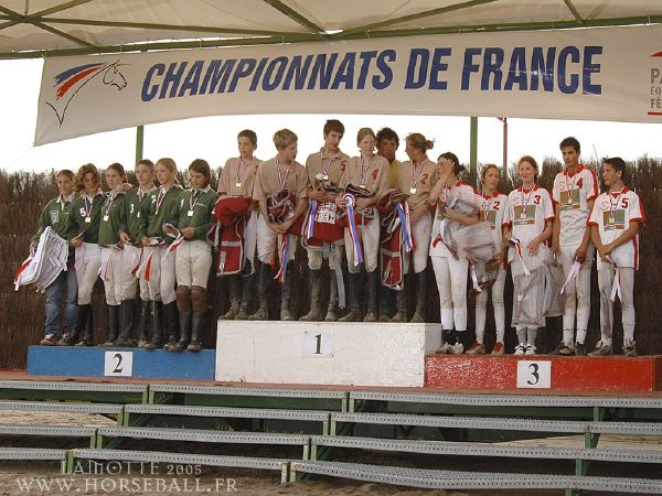 horse-ball-lamotte-615
