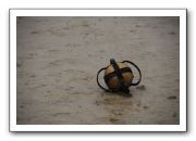 HB070527-3721